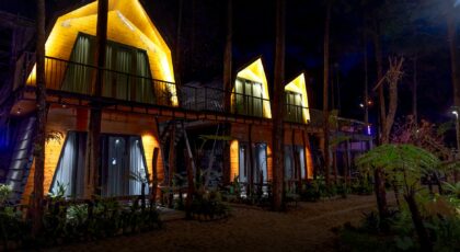 Cozy illuminated wooden cabins surrounded by trees at night, creating a serene woodland retreat atmosphere.