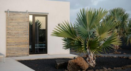 Stylish villa exterior with tropical palm trees in Lanzarote, showcasing modern architecture and lush greenery.