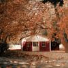 A picturesque red cottage surrounded by vibrant autumn leaves in a rural setting.