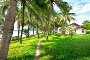 Qunci Villas Lombok: A Tropical Escape Guide