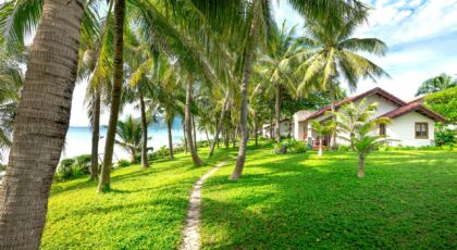 Lush tropical resort featuring palm trees and ocean view with a clear pathway leading to charming houses.
